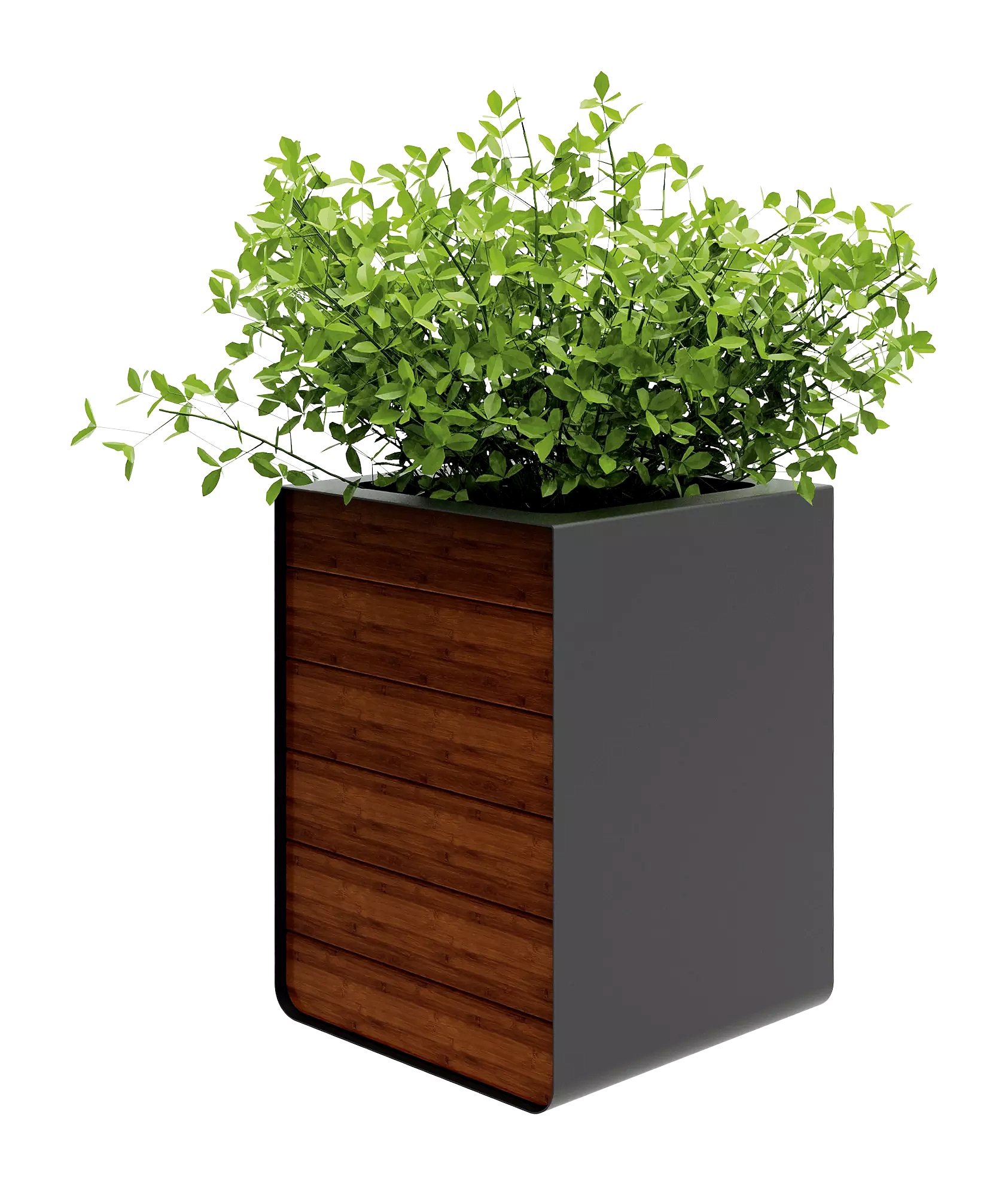 Vorschau: 2657_F_007 Vorschau: 2657_F_007